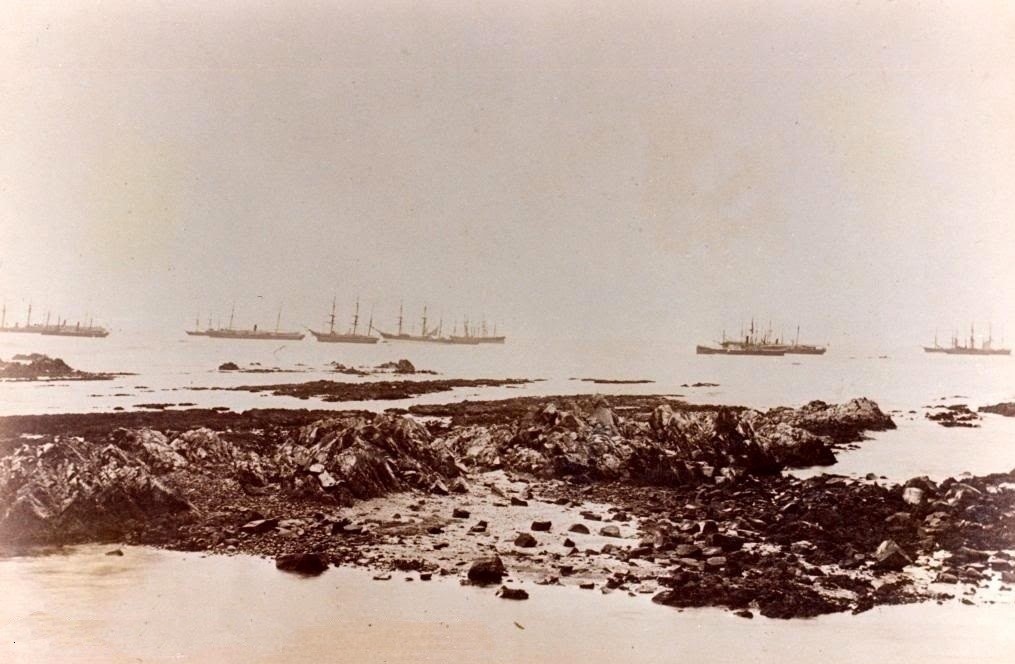Barcos en la Bahía