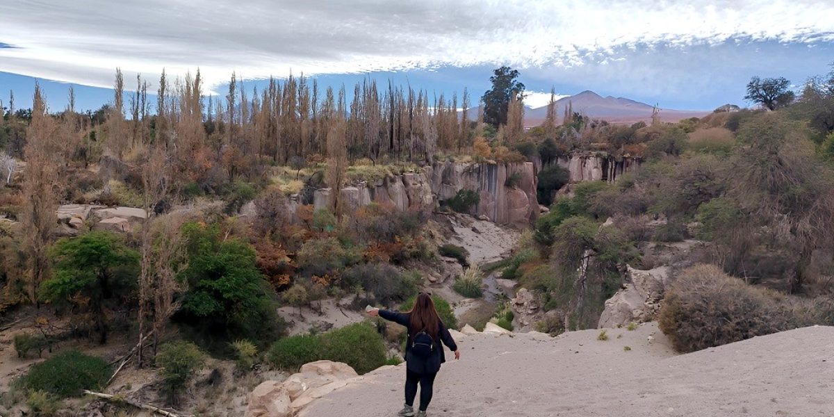 Toconao (7)